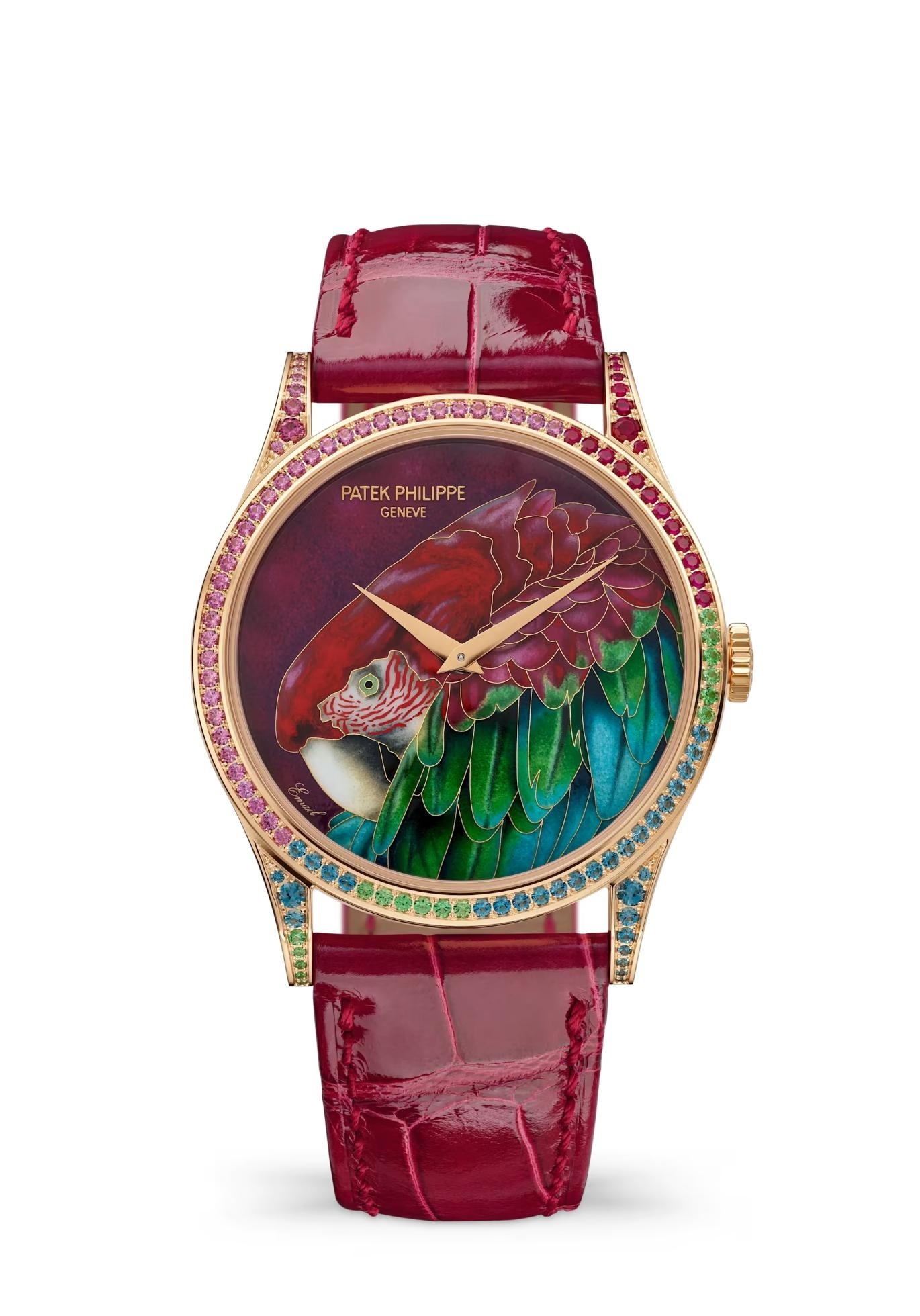 Patek Philippe 5077/211R-001 : Calatrava 5077 Rose Gold / Green-Winged Macaw