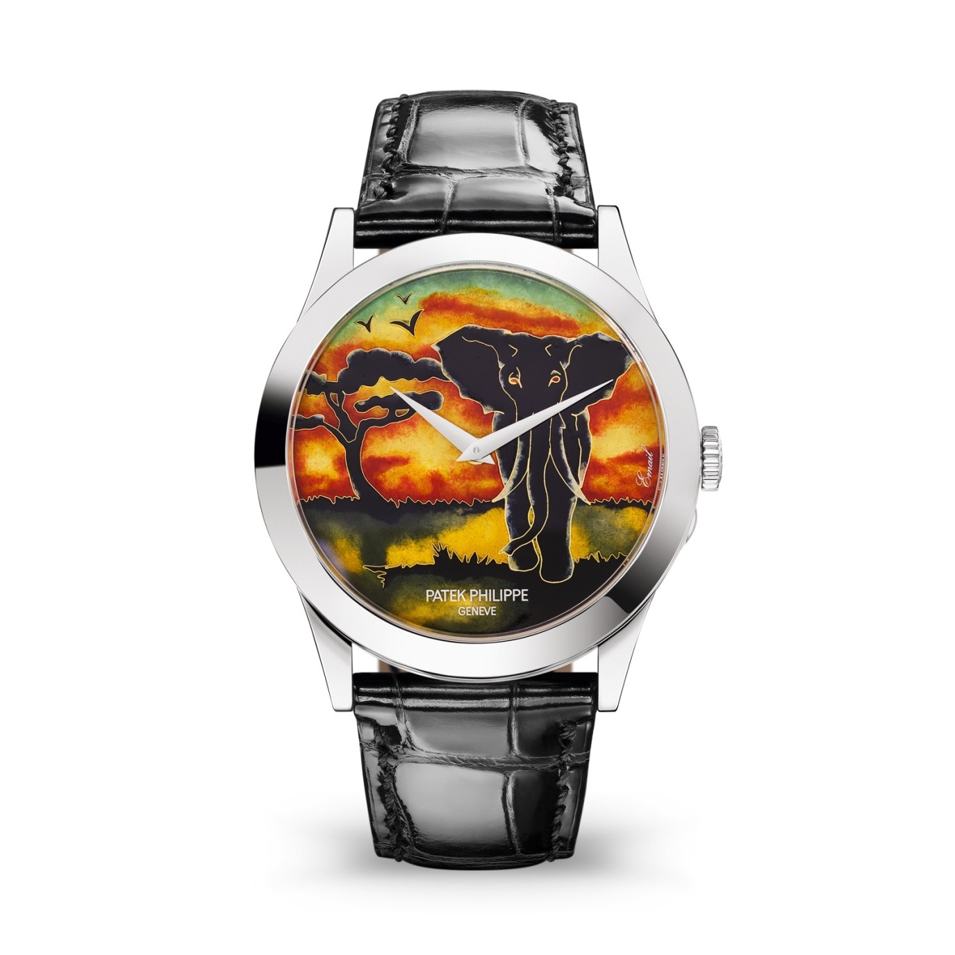 Patek Philippe 5089G-079 : Calatrava 5089 White Gold / African Elephant