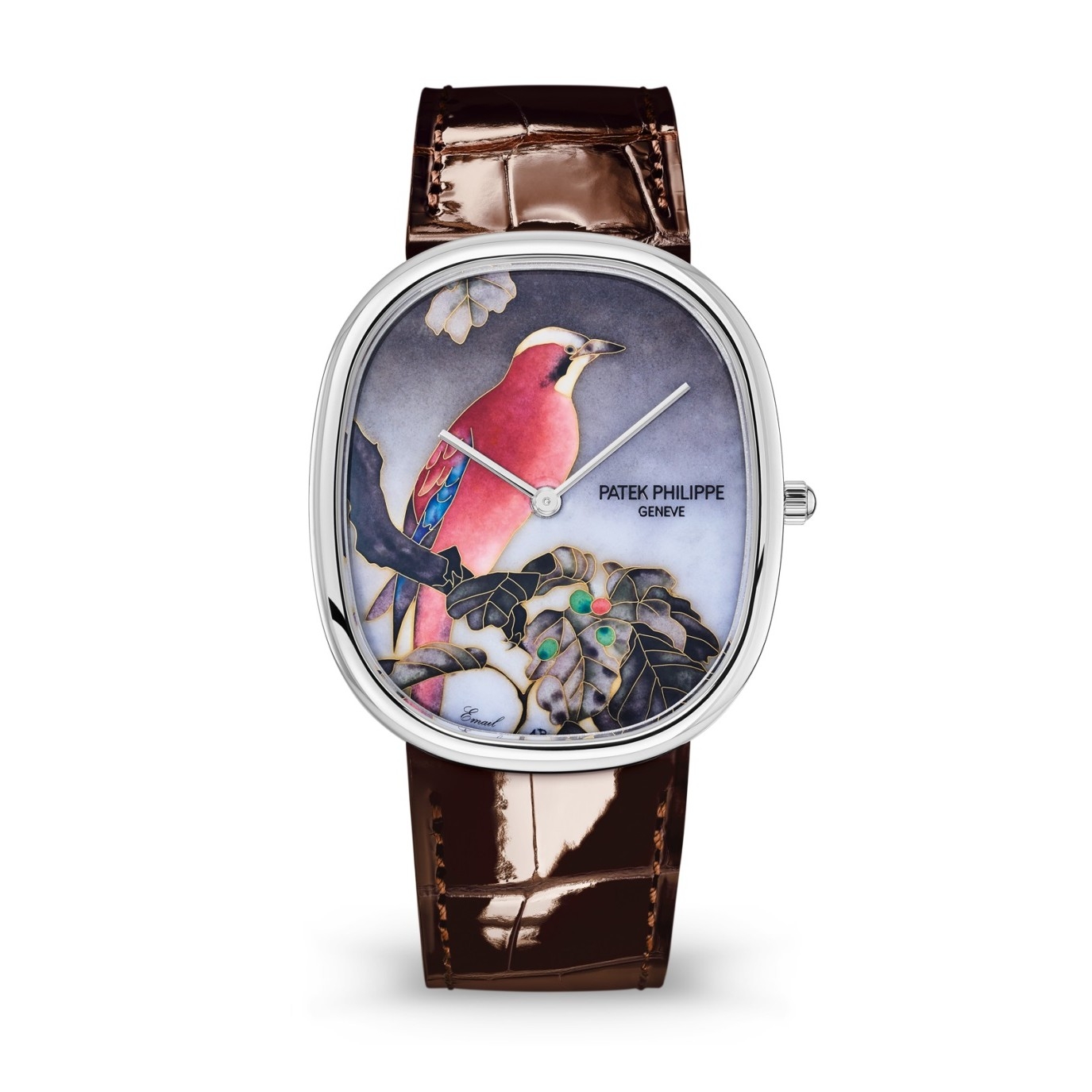 Patek Philippe 5738/50G-011 : Golden Ellipse 5738 White Gold / Japanese Prints