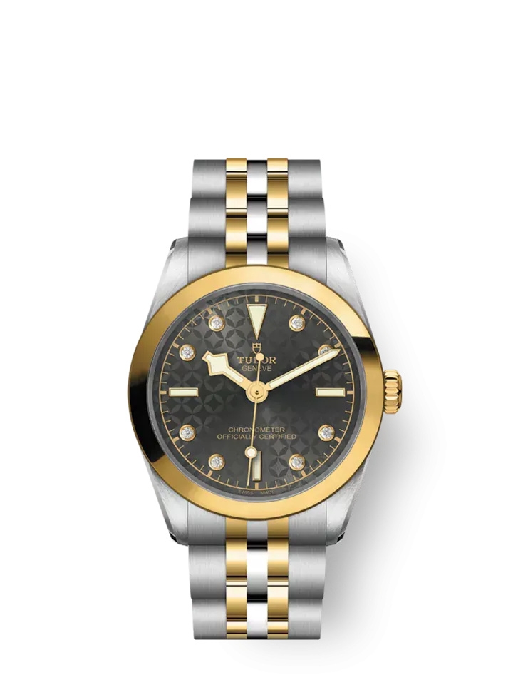 Tudor 79603-0003 : Black Bay 31 S&G / Anthracite - Diamond / Bracelet
