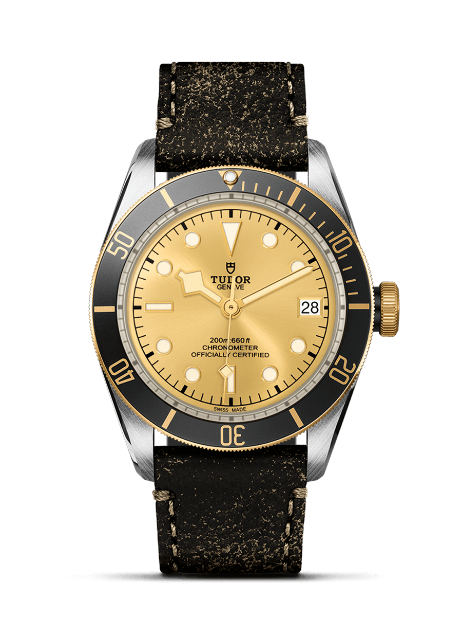 Tudor 79733N-0003 : Heritage Black Bay Black S&G / Stainless Steel / Yellow Gold / Champagne / Strap