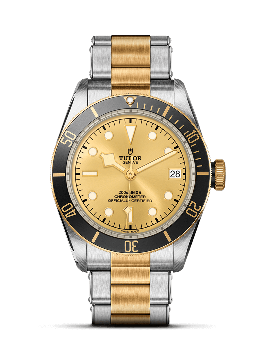 Tudor 79733N-0004 : Heritage Black Bay Black S&G / Stainless Steel / Yellow Gold / Champagne / Bracelet