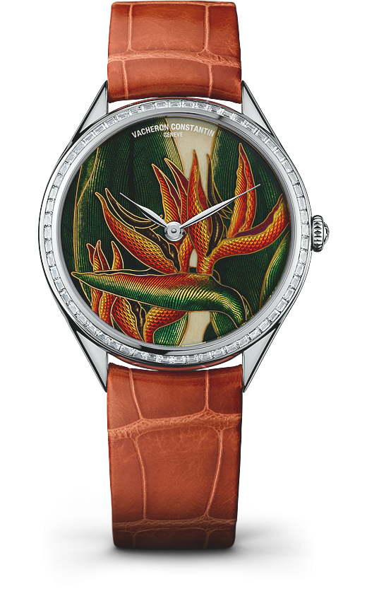 Vacheron Constantin 82650/000G-9854 : Métiers d'Art Florilège Queen Boutique