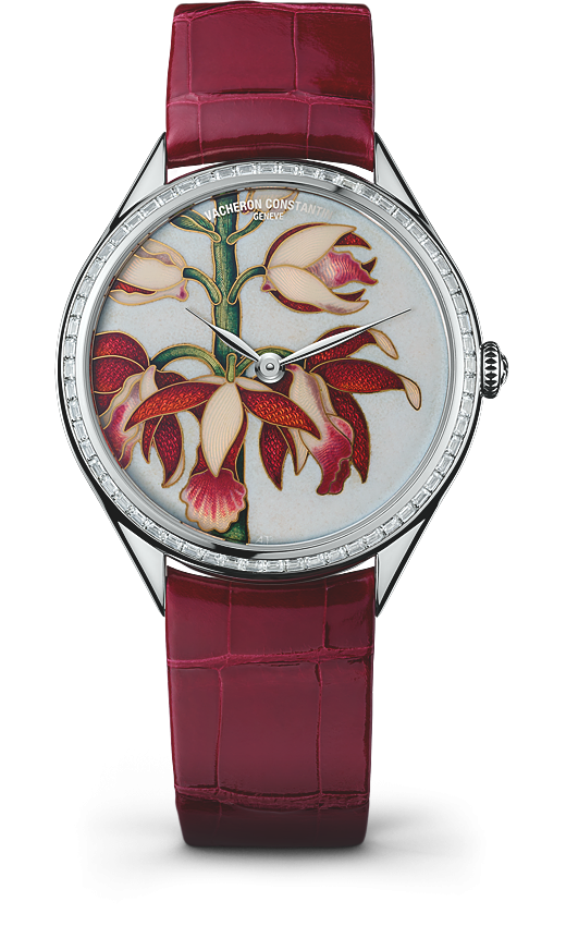 Vacheron Constantin 82650/000G-9855 : Métiers d'Art Florilège China Limodoron Boutique