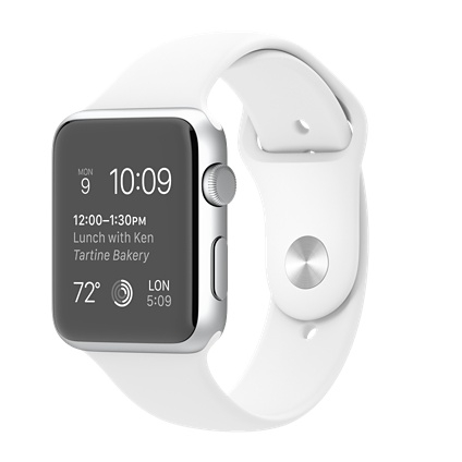 Apple MJ3N2LL : Watch Sport 42mm